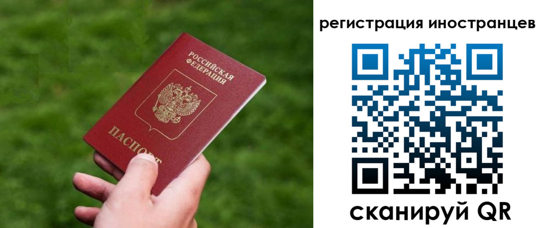 прописка ребенка в Далматово